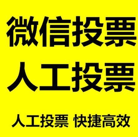 吉林市投票活动拉票能被查出来吗？如何操作能不被发现？